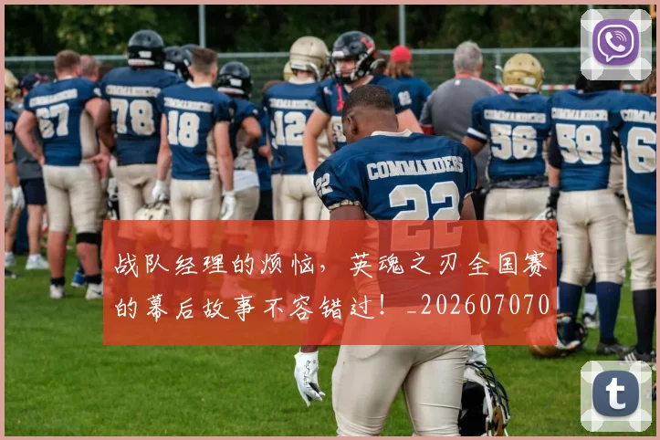 战队经理的烦恼,英魂之刃全国赛的幕后故事不容错过!_20260707014125