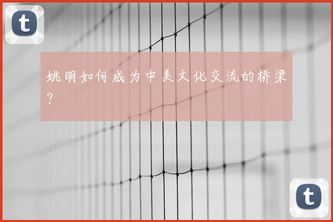 姚明如何成为中美文化交流的桥梁？