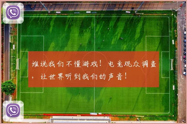 谁说我们不懂游戏！电竞观众调查，让世界听到我们的声音！