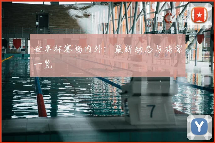 世界杯赛场内外：最新动态与花絮一览