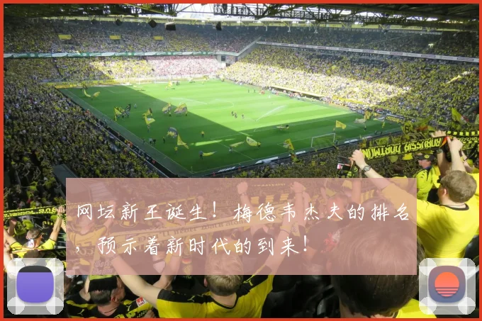 网坛新王诞生！梅德韦杰夫的排名，预示着新时代的到来！