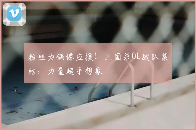 粉丝为偶像应援!三国杀OL战队集结,力量超乎想象