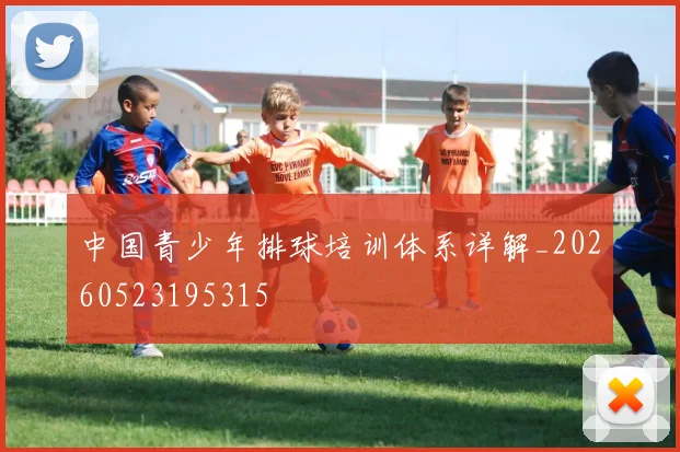 中国青少年排球培训体系详解_20260523195315