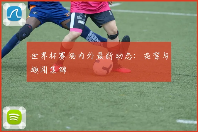 世界杯赛场内外最新动态：花絮与趣闻集锦